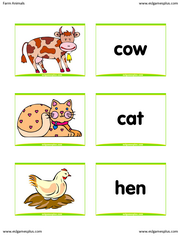 Ultimate Animal Flashcard Collection 104 Zoo Animals Flashcards Word Pic Flash 