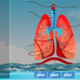 lung-diagram